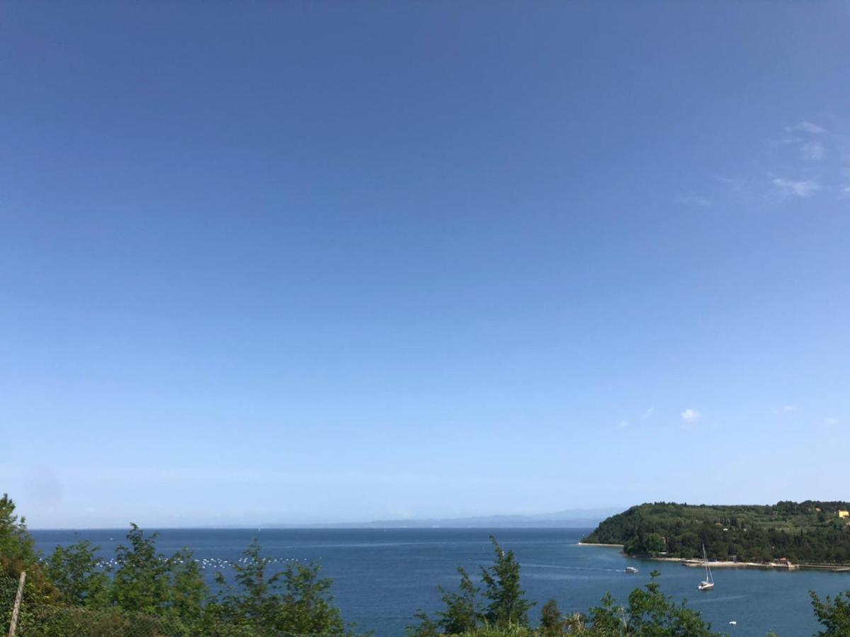 Apartment Yadranka Strunjan